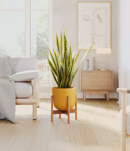 Load image into Gallery viewer, Sunset Orange stand:bamboo