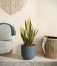 Load image into Gallery viewer, Iron Gray