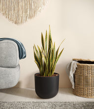 Load image into Gallery viewer, Stone Black