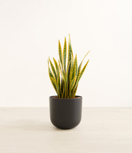 Load image into Gallery viewer, Stone Black*****Profile