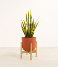 Load image into Gallery viewer, Earth Red stand:bamboo