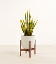 Load image into Gallery viewer, Natural Bamboo stand:walnut