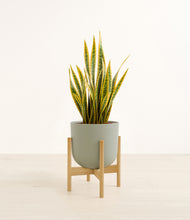 Load image into Gallery viewer, Sage Green stand:bamboo
