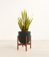 Load image into Gallery viewer, Stone Black stand:walnut