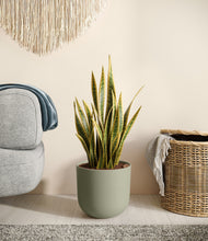 Load image into Gallery viewer, Sage Green