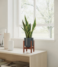 Load image into Gallery viewer, Iron Gray stand:walnut