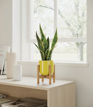 Load image into Gallery viewer, Key Lime Yellow stand:bamboo