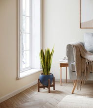 Load image into Gallery viewer, Deep Navy stand:walnut