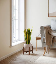 Load image into Gallery viewer, Desert Brown stand:walnut