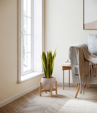 Load image into Gallery viewer, Desert Brown stand:bamboo