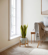 Load image into Gallery viewer, Deep Ocean stand:bamboo