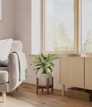 Load image into Gallery viewer, Eternal Gray stand:walnut