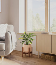 Load image into Gallery viewer, Gentle Pink stand:walnut