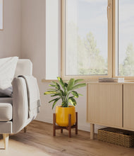 Load image into Gallery viewer, Mustard stand:walnut