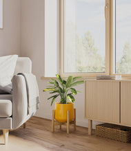 Load image into Gallery viewer, Mustard stand:bamboo