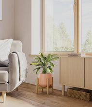 Load image into Gallery viewer, Calm Rose stand:bamboo