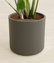 Load image into Gallery viewer, Dark Olive stand:all