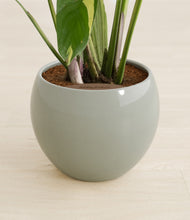 Load image into Gallery viewer, Winter Clouds stand:all