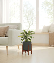 Load image into Gallery viewer, Dark Olive stand:walnut