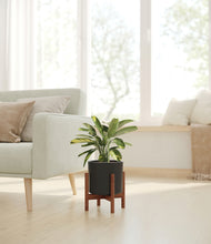 Load image into Gallery viewer, Black stand:walnut