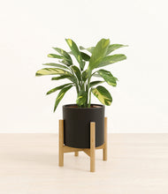 Load image into Gallery viewer, Black stand:bamboo