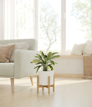 Load image into Gallery viewer, White stand:bamboo