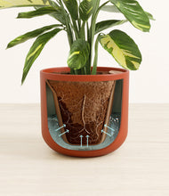 Load image into Gallery viewer, Earth Red stand:all