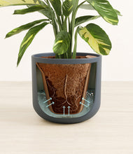 Load image into Gallery viewer, Iron Gray stand:all