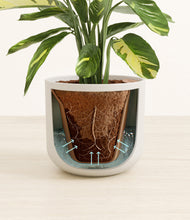 Load image into Gallery viewer, Natural Bamboo stand:all