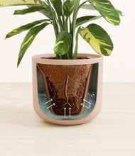 Load image into Gallery viewer, Sandy Pink stand:all