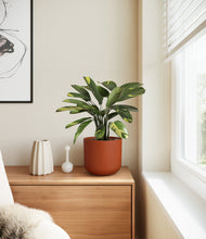 Load image into Gallery viewer, Earth Red