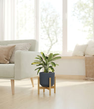 Load image into Gallery viewer, Iron Gray stand:bamboo