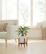 Load image into Gallery viewer, Natural Bamboo stand:walnut