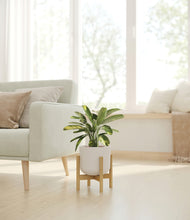 Load image into Gallery viewer, Natural Bamboo stand:bamboo