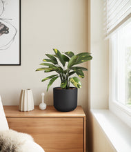 Load image into Gallery viewer, Stone Black