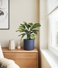 Load image into Gallery viewer, Deep Navy