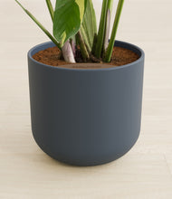 Load image into Gallery viewer, Iron Gray stand:all