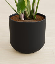 Load image into Gallery viewer, Stone Black stand:all