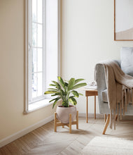 Load image into Gallery viewer, Desert Brown stand:bamboo