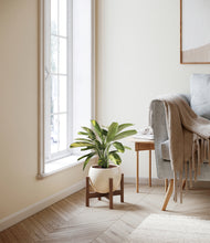 Load image into Gallery viewer, Shiny EggWhite stand:walnut