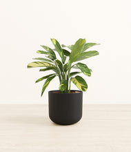 Load image into Gallery viewer, Stone Black*****Profile