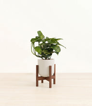 Load image into Gallery viewer, Natural Bamboo stand:walnut