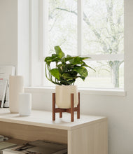 Load image into Gallery viewer, Almond Green stand:walnut
