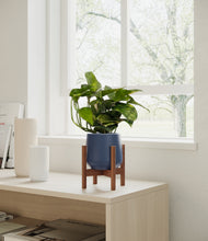Load image into Gallery viewer, Deep Navy stand:walnut