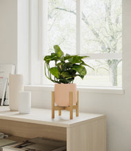 Load image into Gallery viewer, Gentle Pink stand:bamboo
