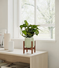 Load image into Gallery viewer, Turquoise stand:walnut
