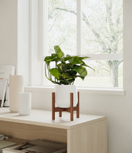 Load image into Gallery viewer, White stand:walnut