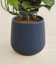Load image into Gallery viewer, Deep Navy stand:all