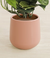 Load image into Gallery viewer, Calm Rose stand:all