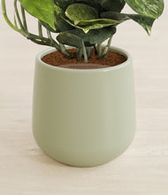 Load image into Gallery viewer, Turquoise stand:all